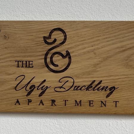 The Ugly Duckling Apartment Dormelletto Exterior photo